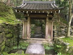 -西芳寺(苔寺)
