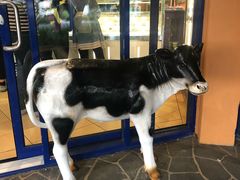 -Dooley's Premium Ice Cream