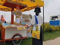 -杭州湾海上花田景区