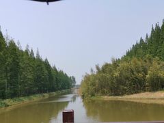 -黄海国家森林公园