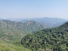 -大岭沟猕猴桃谷风景区