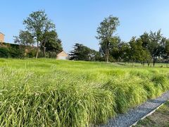 -汉长安城未央宫国家考古遗址公园