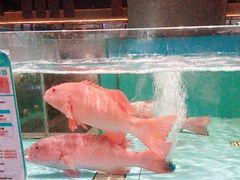 -阿伟海鲜楼·福建菜(延寿店)