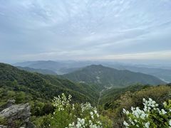 -午潮山国家森林公园