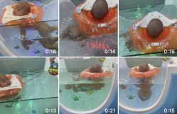 -乐优游母婴生活馆(天河店)