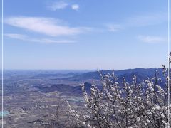 -北京鹫峰国家森林公园