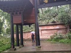 -峨眉山报国寺