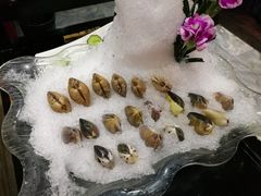 -渔傅·蓝海岸霞浦海鲜(正祥店)
