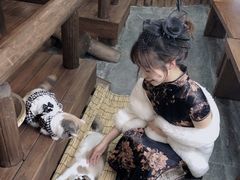-福尔喵斯探案馆实景搜证·沉浸式剧本杀