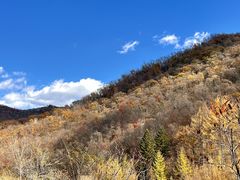 -天女山森林公园