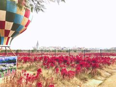 -美的鹭湖森林度假区
