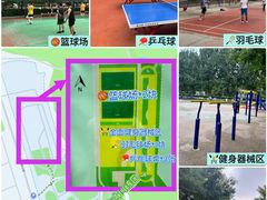 -东升文体公园