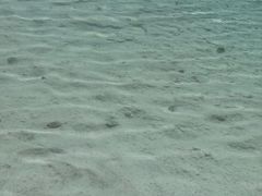 -东台吉乃尔湖