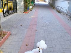 -大海别墅民宿农家院(十渡店)