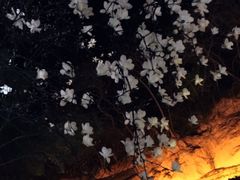 -西安曲江寒窑遗址公园