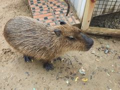 -南戴河国际娱乐中心