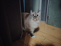 -剧狐剧本杀·月球探案馆(人民广场1号店)