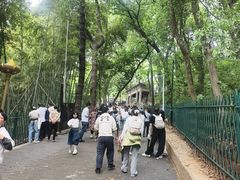 -灵岩山风景区