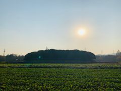 -八卦田遗址公园