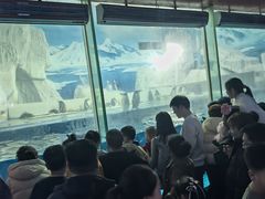-泉城欧乐堡海洋极地世界