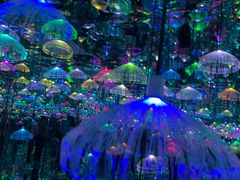 -天津梵高星空艺术馆(天河城旗舰店)