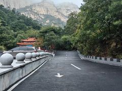 -大芦花风景区