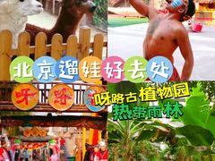 -呀路古热带植物园