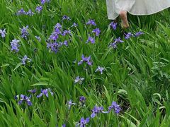 -白鹭湾湿地公园