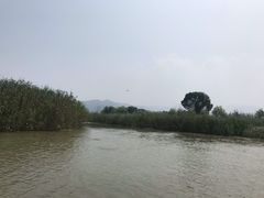 -长兴太湖图影湿地文化园