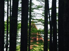 -山王坪喀斯特国家生态公园