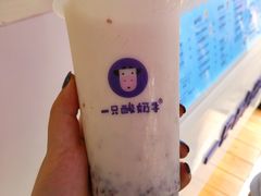 -一只酸奶牛(奎星楼店)