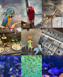 -Zoolung Zoolung动物主题公园(海信广场店)