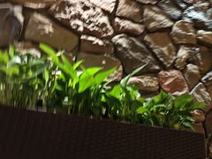 -满来寿喜烧(金虹桥店)