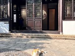 -上海醉白池公园