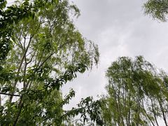 -三里河公园