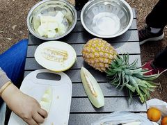 -铁山坪森林公园