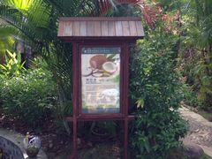 -三亚珠江南田温泉度假区