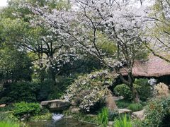 -中国茶叶博物馆(双峰馆区)