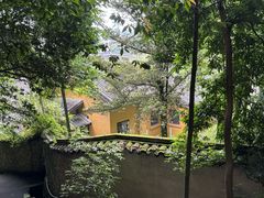 -缙云山景区