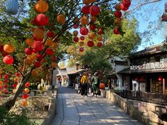 -西溪国家湿地公园