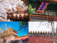 -故宫博物院(故宫)