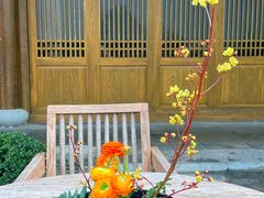 -鲤院·新中式美学·庭院餐厅(夫子庙店)