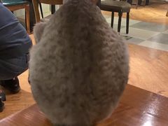 -猫小院猫主题餐厅(三里屯店)