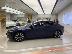 -TESLA 特斯拉(郑州正弘城体验店)