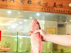 -巽寮印象美食部落餐厅·海鲜·地方特色菜(惠州体验店)