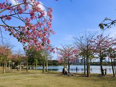 -顺峰山公园