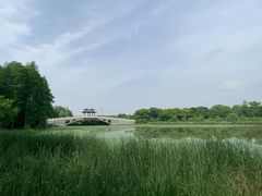 -东湖落雁景区