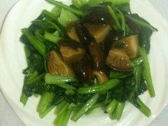 -煲来饱去冷水鱼