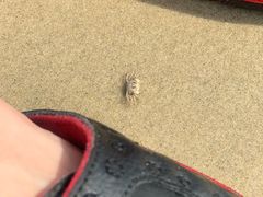 -北海市海滨公园