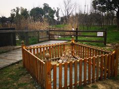 -田园东方蜜桃村的田野营地